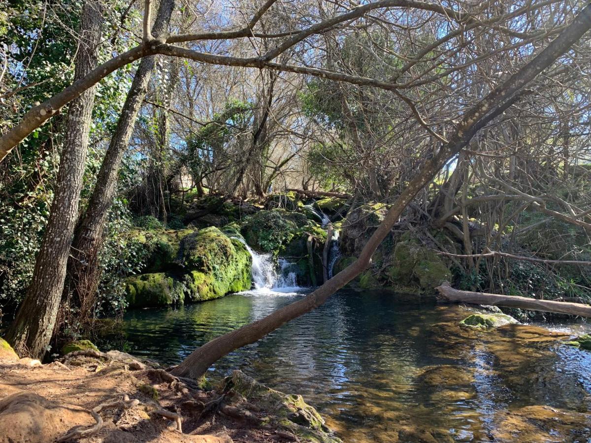 منزل الضيف San Nicolás del Puerto  في Casa Rural Nacimiento Del Hueznar - Tomillo 23 المظهر الخارجي الصورة