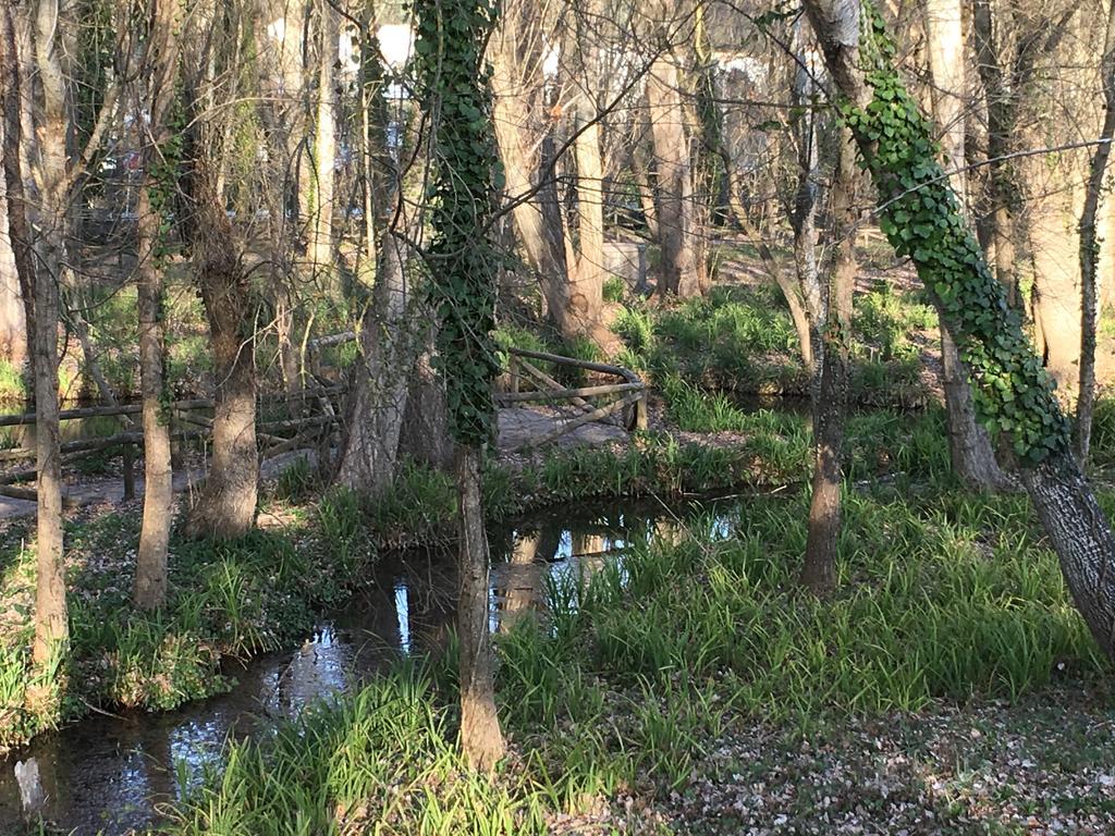 منزل الضيف San Nicolás del Puerto  في Casa Rural Nacimiento Del Hueznar - Tomillo 23 المظهر الخارجي الصورة