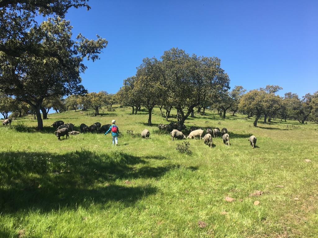 منزل الضيف San Nicolás del Puerto  في Casa Rural Nacimiento Del Hueznar - Tomillo 23 المظهر الخارجي الصورة